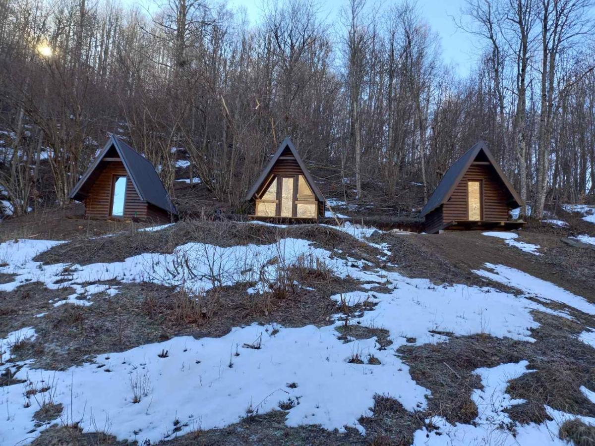 Holiday bungalows Pajkovir Kolasin Bagian luar foto