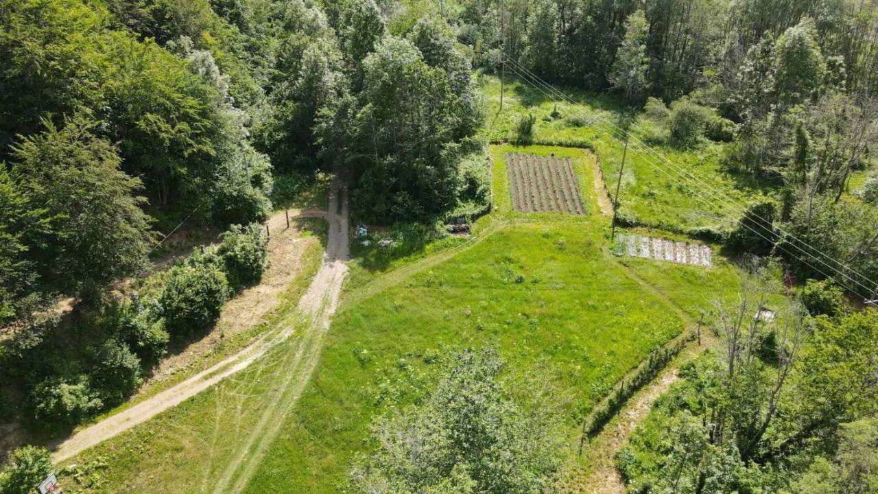 Holiday bungalows Pajkovir Kolasin Bagian luar foto