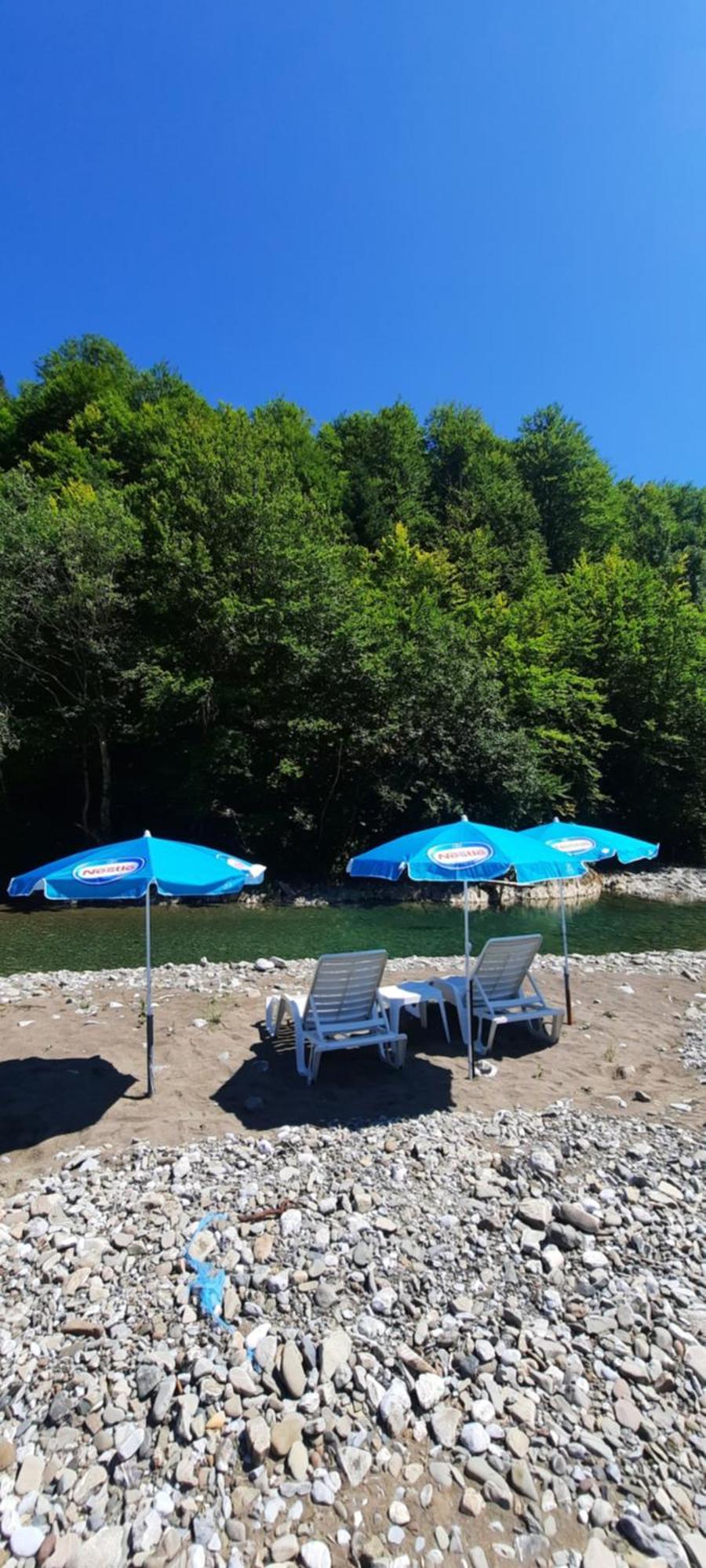 Holiday bungalows Pajkovir Kolasin Bagian luar foto